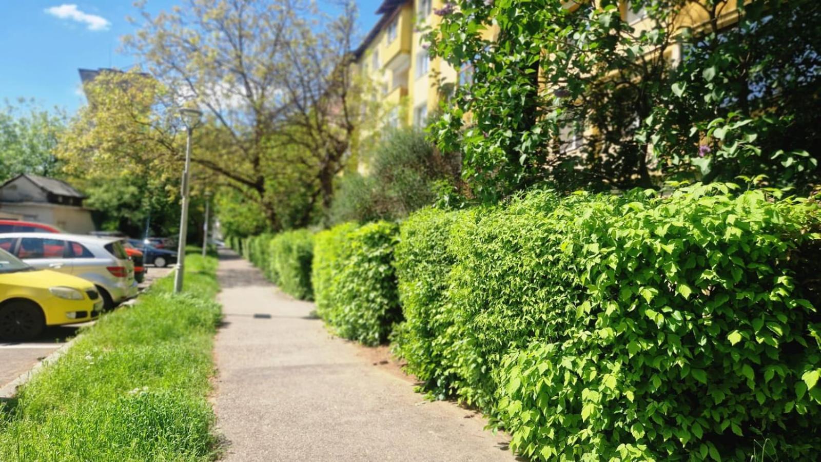 University Apartment Baia Mare Exterior foto